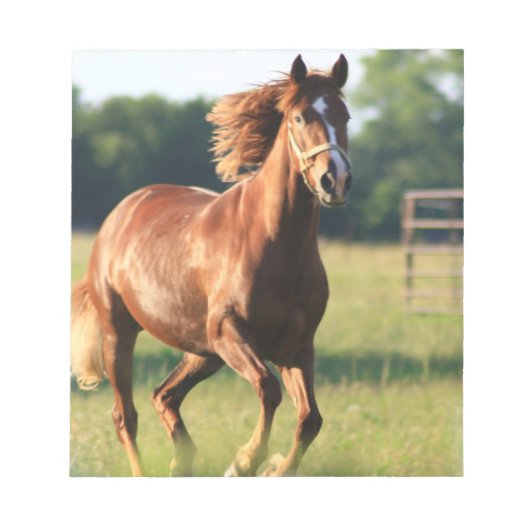 Chestnut Galloping Horse Notitieblok (Voorkant)