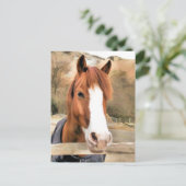 CHESTNUT HORSE BRIEFKAART (Staand voorkant)
