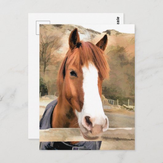 CHESTNUT HORSE BRIEFKAART (Voorkant / Achterkant)