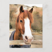 CHESTNUT HORSE BRIEFKAART (Voorkant)