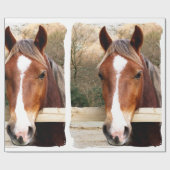 CHESTNUT HORSE CADEAUPAPIER (Vlak)