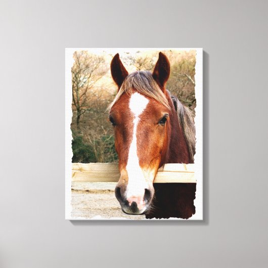 CHESTNUT HORSE CANVAS AFDRUK (Voorkant)