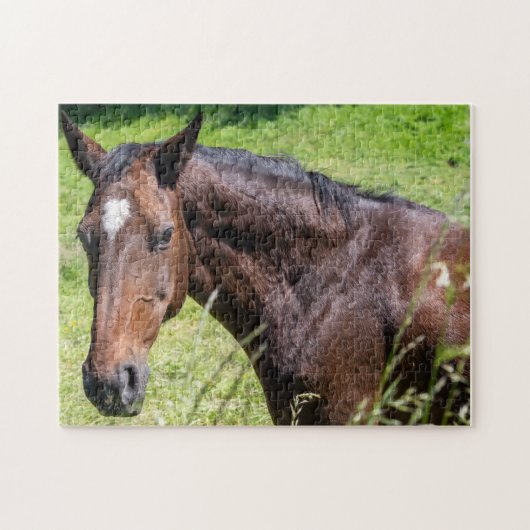 Chestnut Horse Closeup Legpuzzel (Horizontaal)