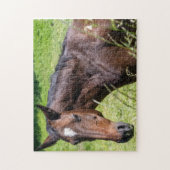 Chestnut Horse Closeup Legpuzzel (Verticaal)