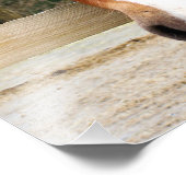 CHESTNUT HORSE FOTO AFDRUK (Hoek)