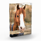CHESTNUT HORSE FOTOBLOKKEN (Links)