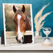 CHESTNUT HORSE FOTOPLAAT (Zijkant)