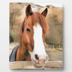 CHESTNUT HORSE FOTOPLAAT