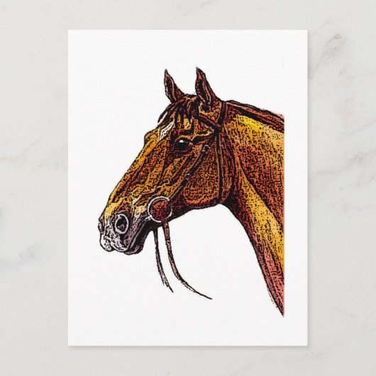 Chestnut Horse Ink Briefkaart (Voorkant)
