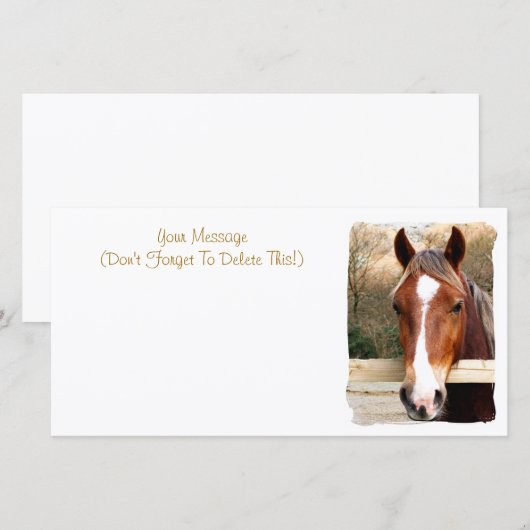 CHESTNUT HORSE KAART (Voorkant / Achterkant)
