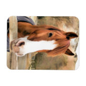 CHESTNUT HORSE MAGNEET (Horizontaal)