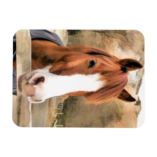 CHESTNUT HORSE MAGNEET (Horizontaal)