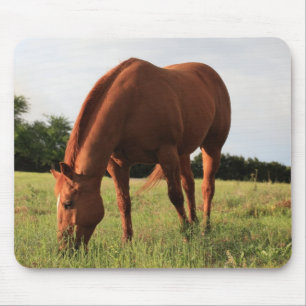 Chestnut Horse Mousepad Muismat