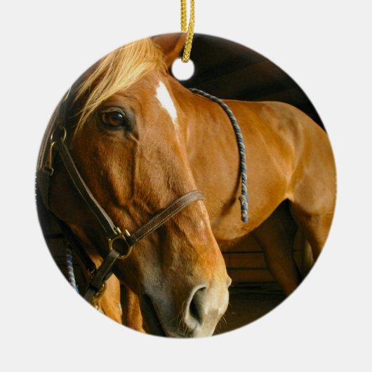 Chestnut Horse Ornament (Voorkant)