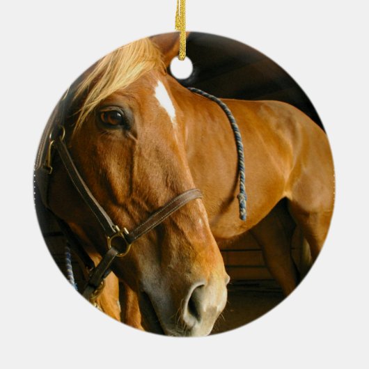 Chestnut Horse Ornament (Achterkant)