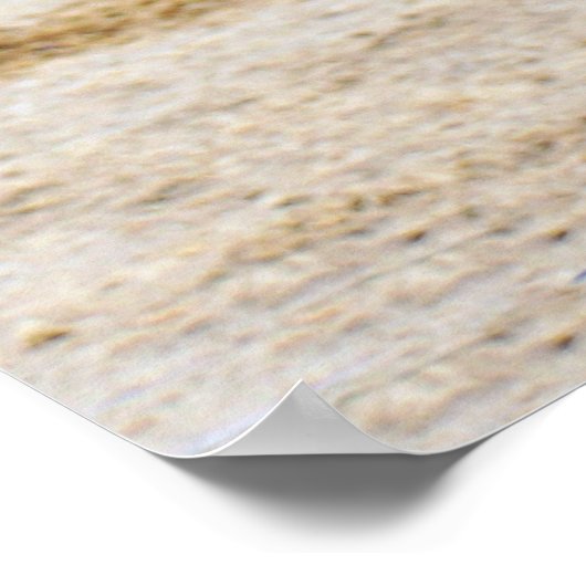 CHESTNUT HORSE POSTER (Hoek)