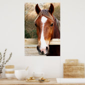 CHESTNUT HORSE POSTER (Keuken)