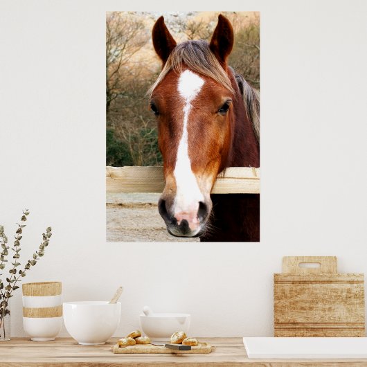 CHESTNUT HORSE POSTER (Keuken)