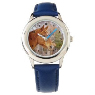 Chestnut Horse Watch Horloge