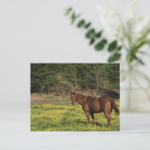Chestnut in Gele Bloemen Briefkaart (Staand voorkant)