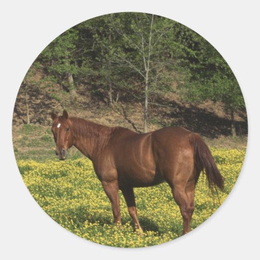 Chestnut in Gele Bloemen Ronde Sticker (Voorkant)