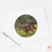 Chestnut in Gele Bloemen Ronde Sticker (Envelop)