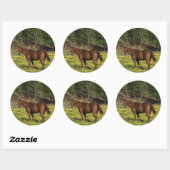 Chestnut in Gele Bloemen Ronde Sticker (Vel)