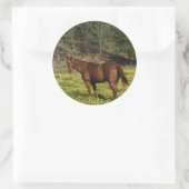 Chestnut in Gele Bloemen Ronde Sticker (Tas)