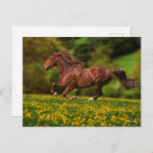 Chestnut Lusitano met boterbekertjes Briefkaart (Voorkant / Achterkant)