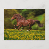 Chestnut Lusitano met boterbekertjes Briefkaart (Voorkant)