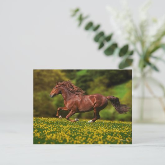 Chestnut Lusitano met boterbekertjes Briefkaart (Staand voorkant)