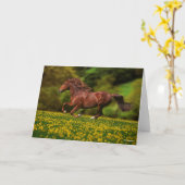 Chestnut Lusitano met boterbekertjes Kaart (Gele Bloem)