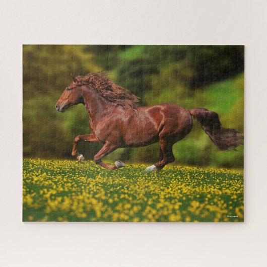 Chestnut Lusitano met boterbekertjes Legpuzzel (Horizontaal)