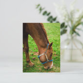 Chestnut na de geboorte briefkaart (Staand voorkant)