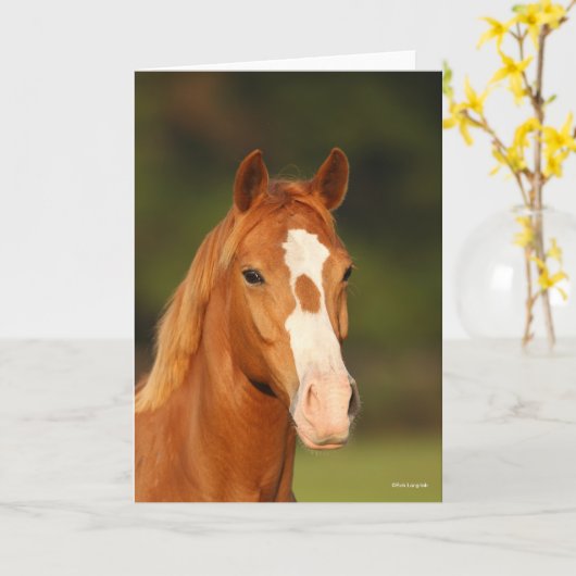 Chestnut Oldenburg Cross Welsh Headshot Kaart (Gele Bloem)