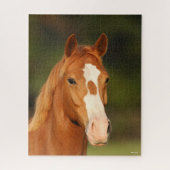 Chestnut Oldenburg Cross Welsh Headshot Legpuzzel (Verticaal)