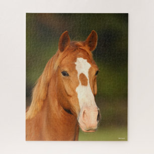 Chestnut Oldenburg Cross Welsh Headshot Legpuzzel