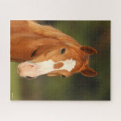 Chestnut Oldenburg Cross Welsh Headshot Legpuzzel (Horizontaal)