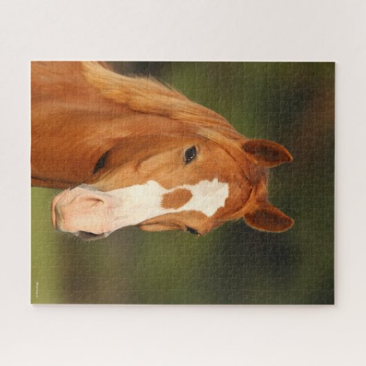 Chestnut Oldenburg Cross Welsh Headshot Legpuzzel (Horizontaal)