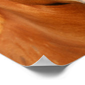 Chestnut Oldenburg Cross Welsh Headshot Poster (Hoek)