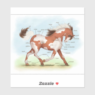 Chestnut Overo Skewbald Paard Anatomie Grafiek Sticker