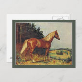 Chestnut Paard Briefkaart (Voorkant / Achterkant)