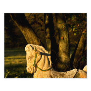 Chestnut Paard Foto Afdruk