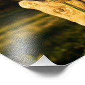 Chestnut Paard Foto Afdruk (Hoek)