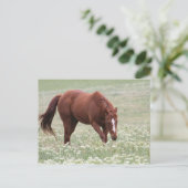 Chestnut paard in Briefkaart ter plaatse (Staand voorkant)
