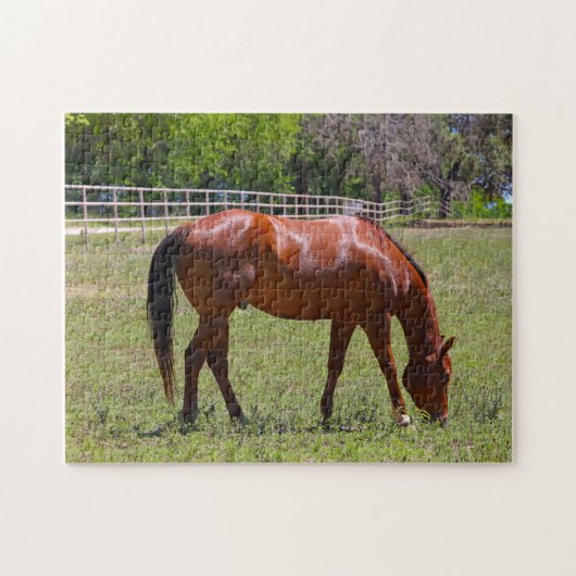 Chestnut paard in een veld legpuzzel (Horizontaal)