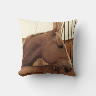 Chestnut paard met blaze in de Stall Kussen