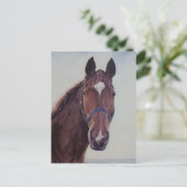 Chestnut paard met witte ster briefkaart (Staand voorkant)