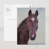 Chestnut paard met witte ster briefkaart (Voorkant / Achterkant)
