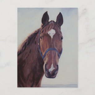 Chestnut paard met witte ster briefkaart